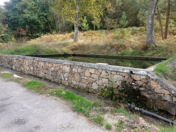 Excelente Quinta Com Alojamento Local -valença – Viana Do Castelo-portugal