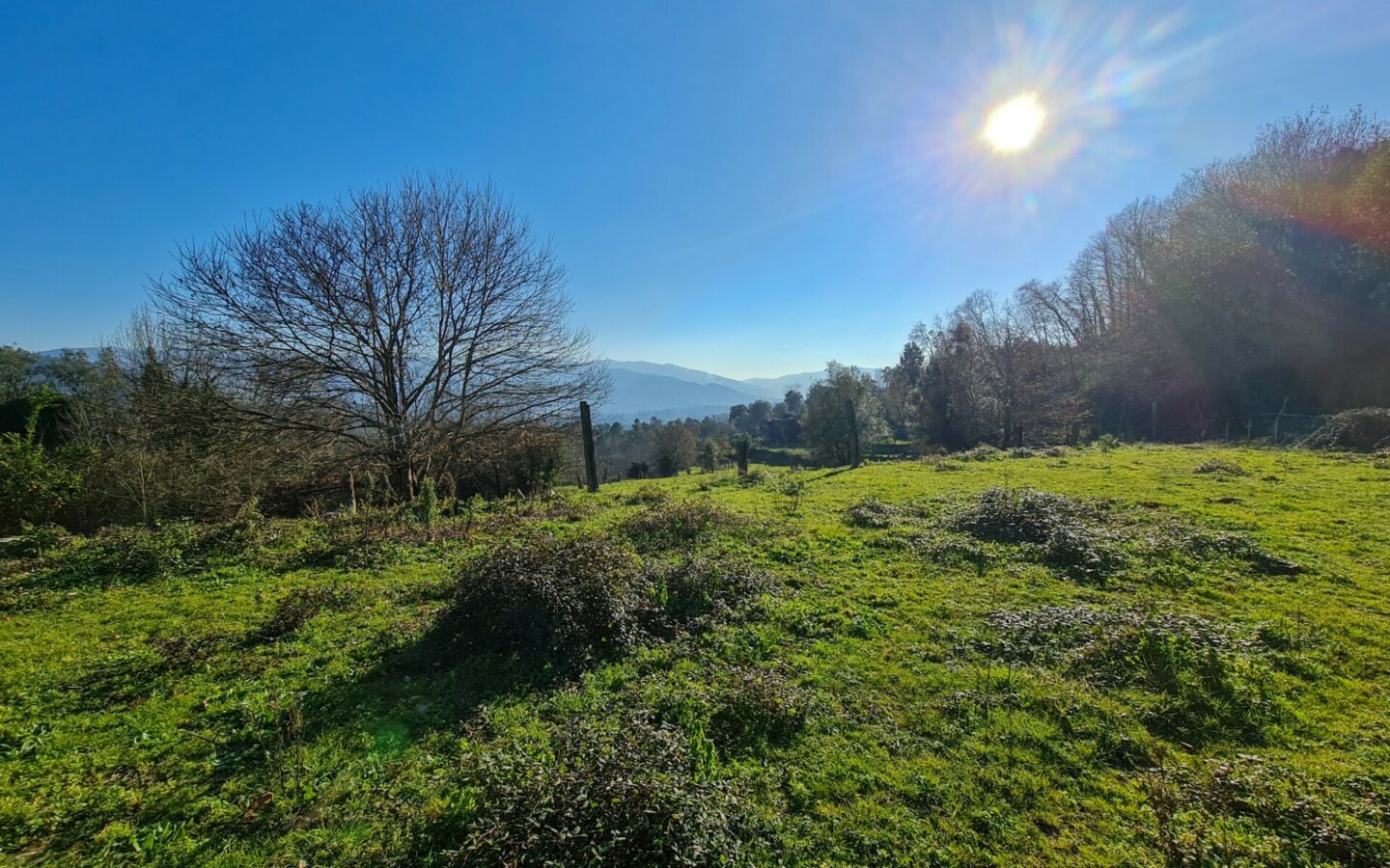 Propriedade Unica; Qta Rural C/8 Artº Urbanos P/habitação, +3ha Terreno – Vale – Arcos De Valdevez – Portugal