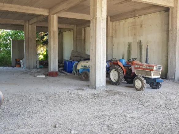Business In Kassandra, Greece (600 M²)