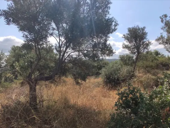 Land In Sithonia, Greece