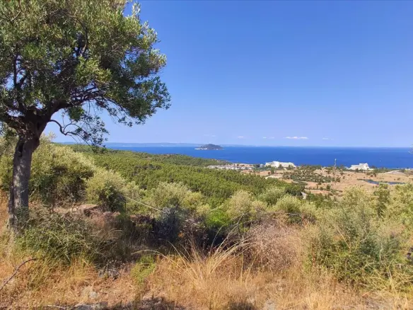 Land In Sithonia, Greece