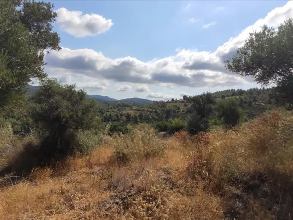 Land In Sithonia, Greece