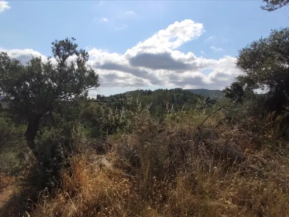 Land In Sithonia, Greece
