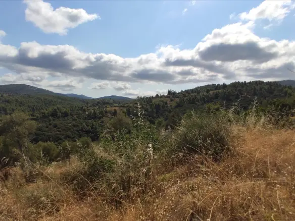 Land In Sithonia, Greece