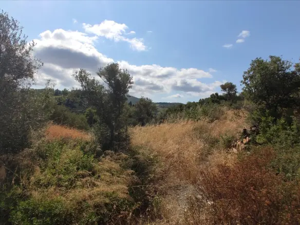 Land In Sithonia, Greece