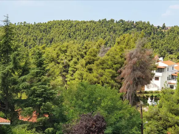 5-bedroom Maisonette In Kassandra, Greece (165 M²)
