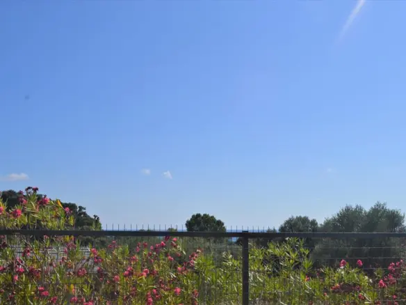 Land In Corfu, Greece