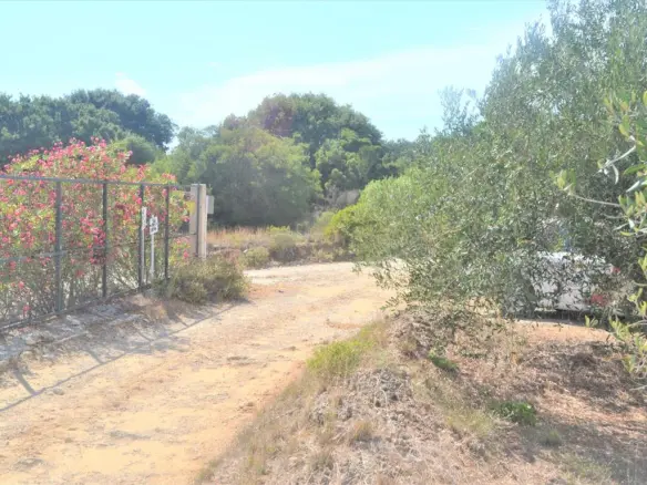 Land In Corfu, Greece