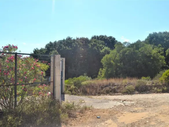 Land In Corfu, Greece