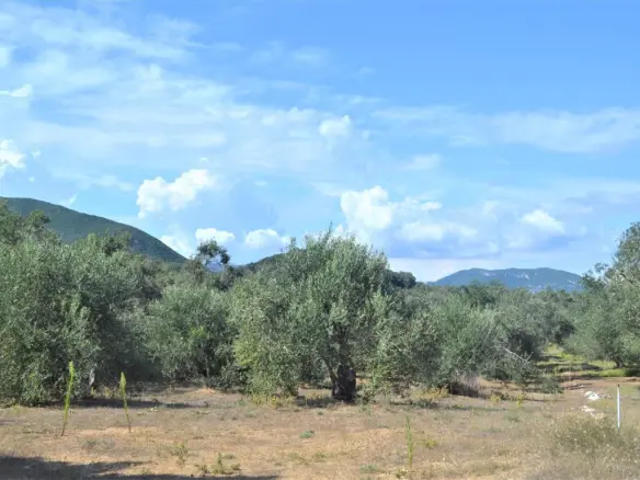 Land In Corfu, Greece