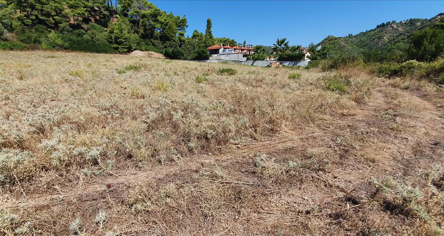 Land In Kassandra, Greece