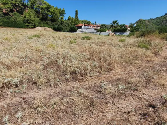 Land In Kassandra, Greece