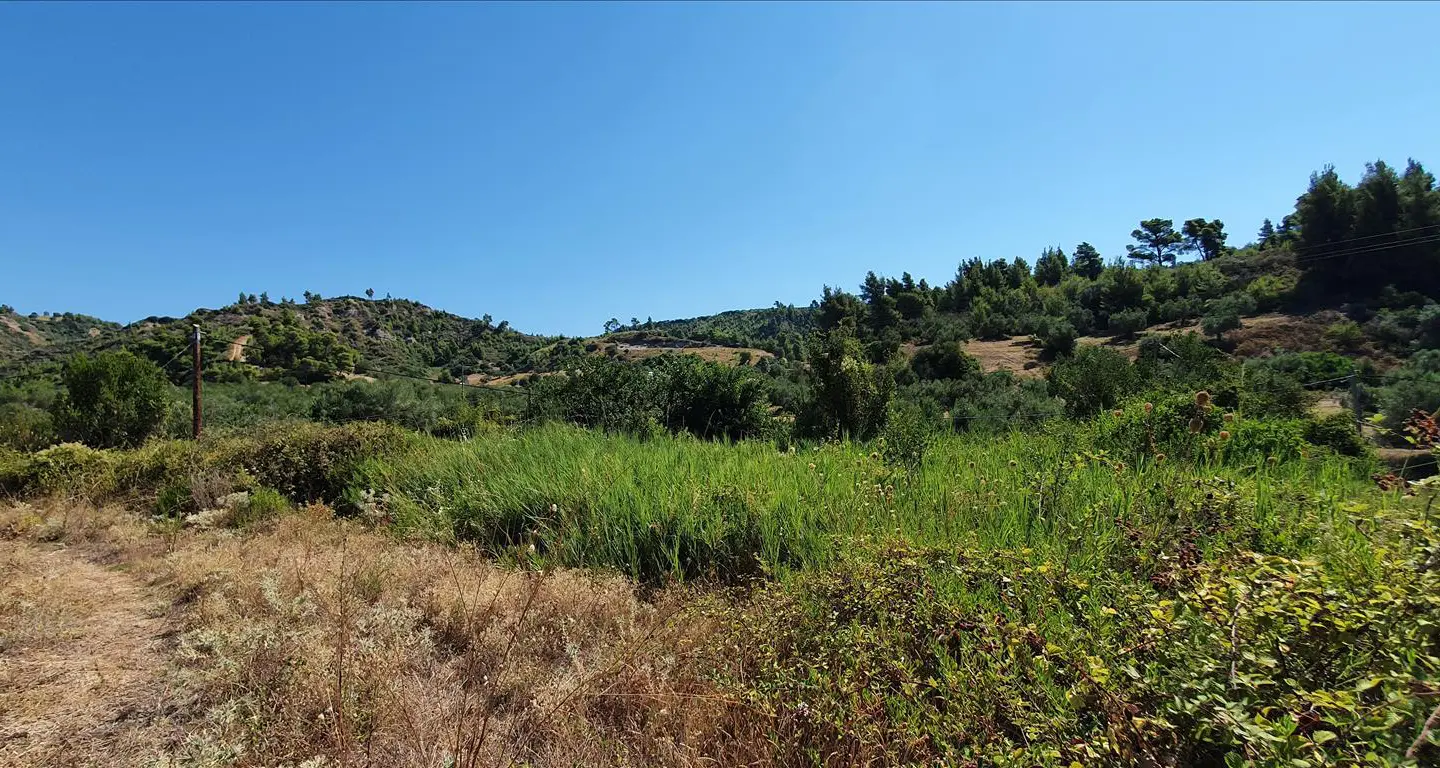 Land In Kassandra, Greece