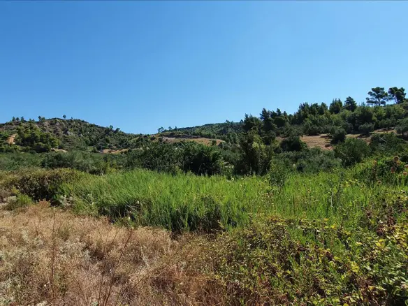 Land In Kassandra, Greece