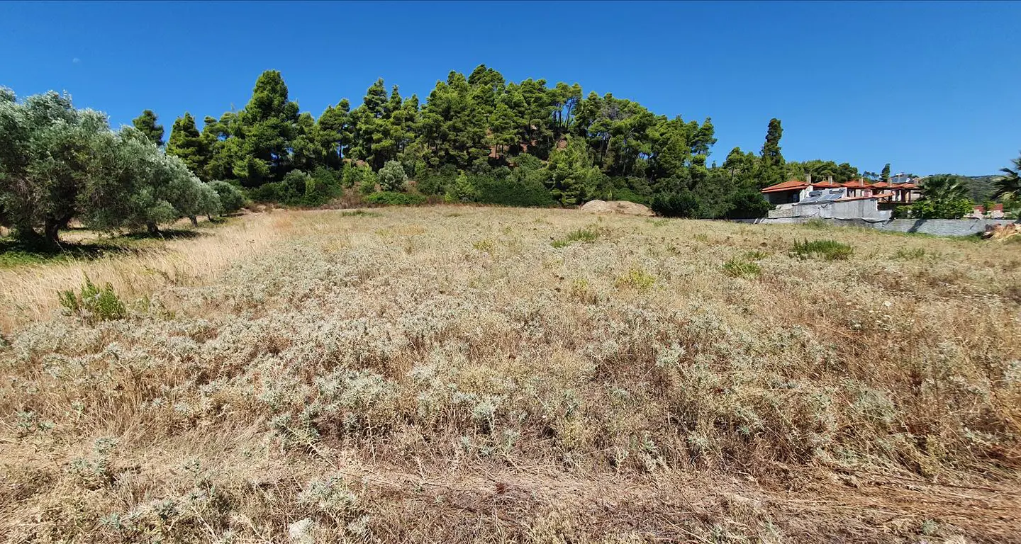 Land In Kassandra, Greece