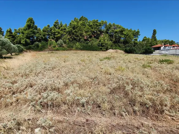 Land In Kassandra, Greece