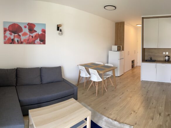 Fully Managed 2 Bedroom Apartment For Sale