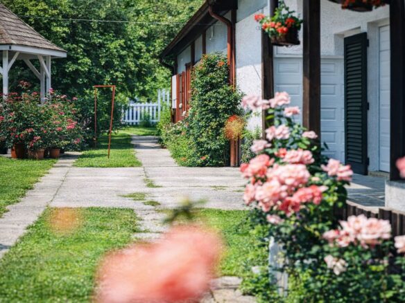 Investment Opportunity Near Lake Balaton – Thermal Spa Apartment House In Igal, Somogy County