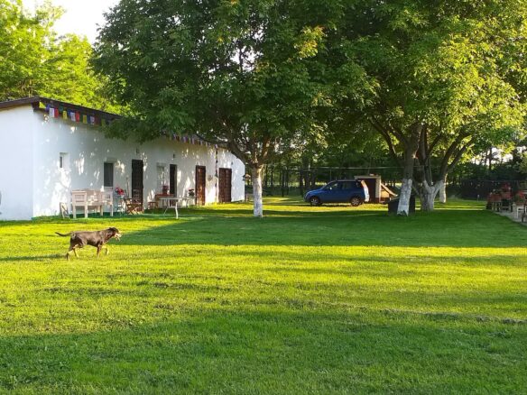 Idyllic Woodland Estate With Two Separate Living Units In Mikebuda