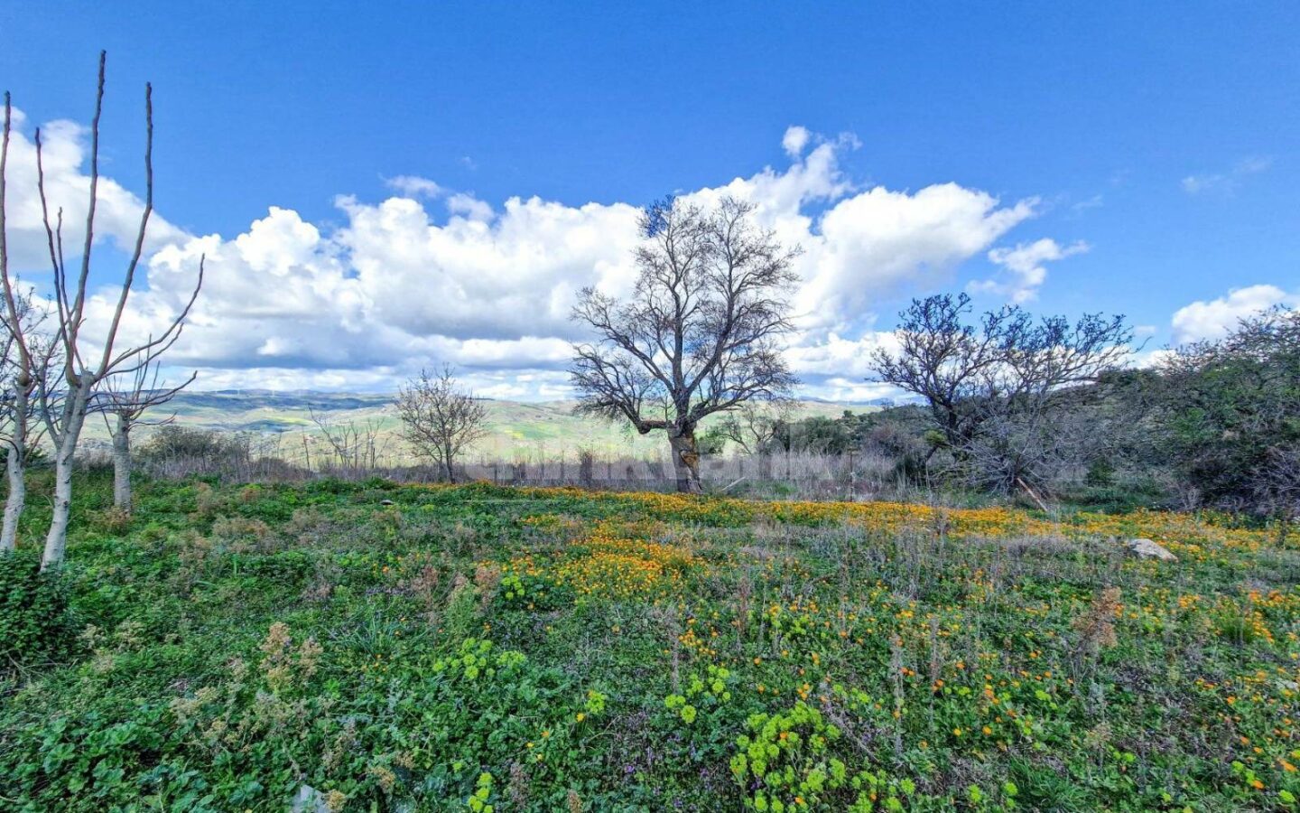 This Rustic House In Nissoria Is Currently In A Free State, Ready To Be Inhabited.