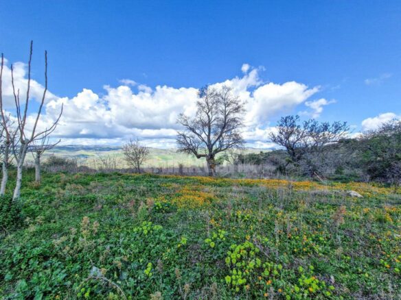 This Rustic House In Nissoria Is Currently In A Free State, Ready To Be Inhabited.