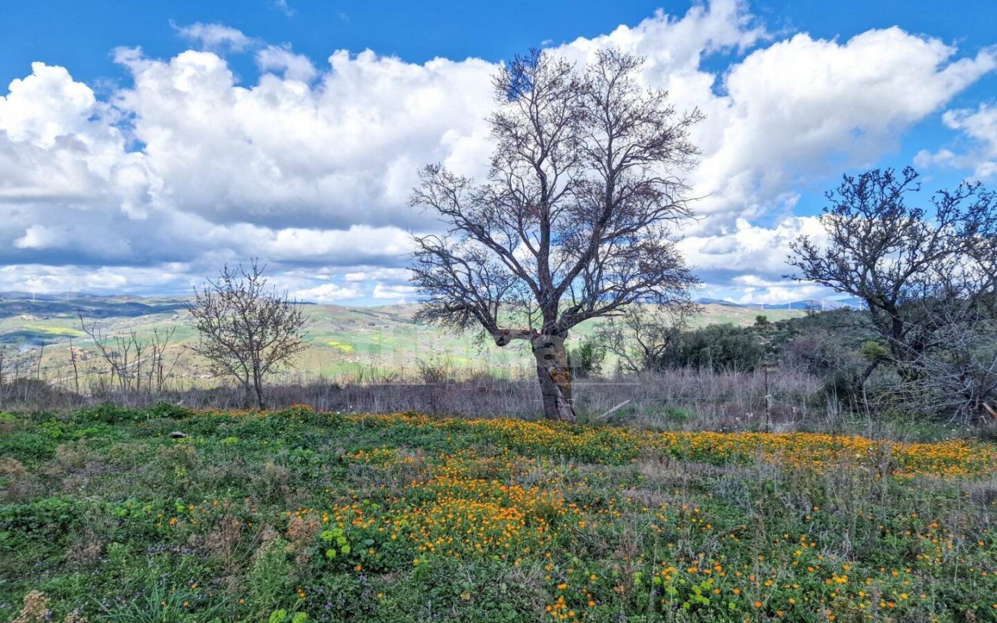 This Rustic House In Nissoria Is Currently In A Free State, Ready To Be Inhabited.