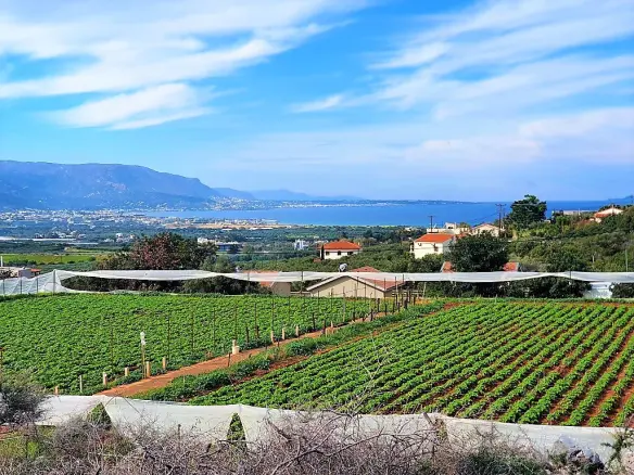 Land In Vrachasi, Greece