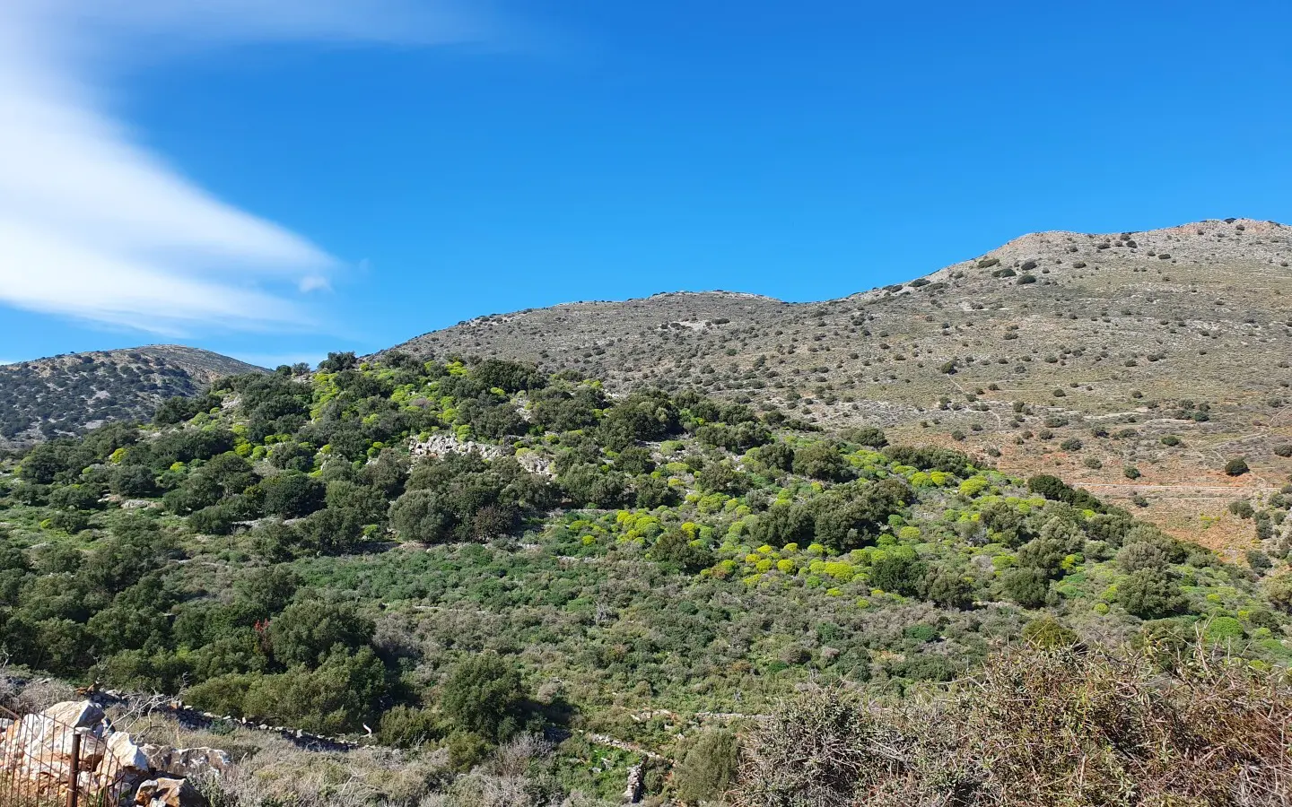 Land In Agios Nikolaos, Greece