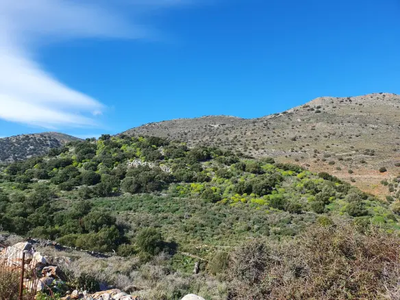 Land In Agios Nikolaos, Greece