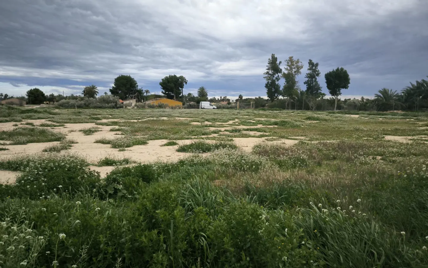Country Land In Elche Pedanias, Spain (4.037 M² Plot)