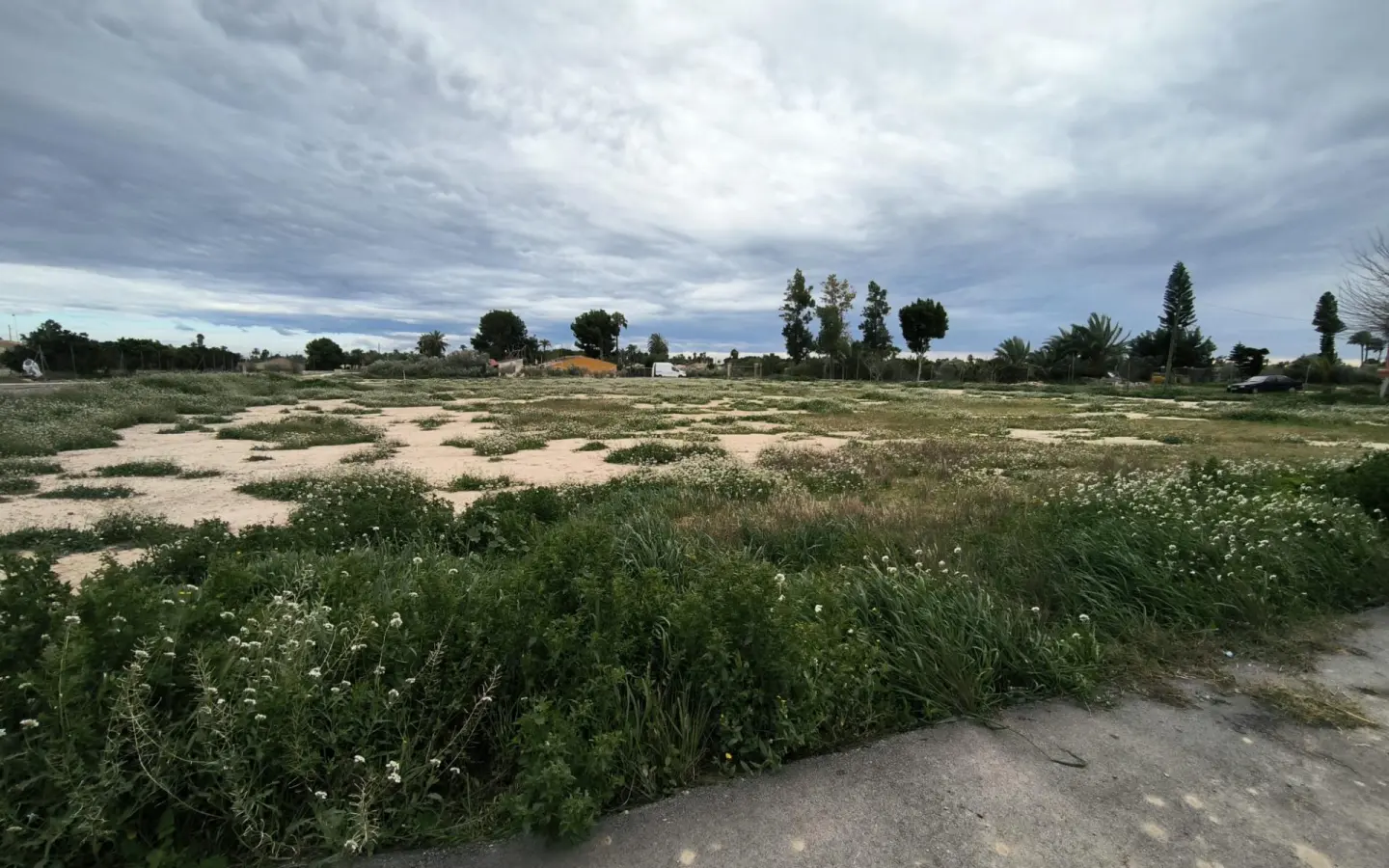 Country Land In Elche Pedanias, Spain (4.037 M² Plot)