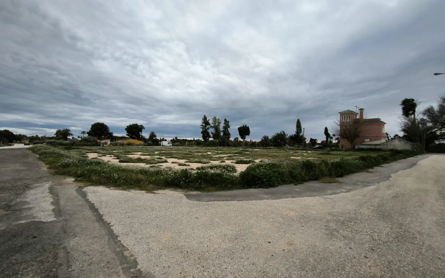 Country Land In Elche Pedanias, Spain (4.037 M² Plot)
