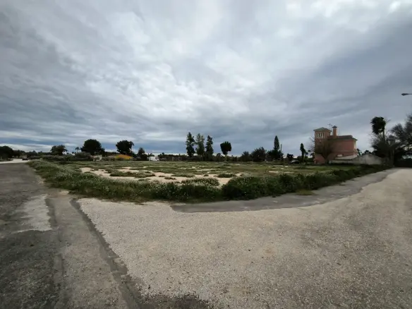 Country Land In Elche Pedanias, Spain (4.037 M² Plot)