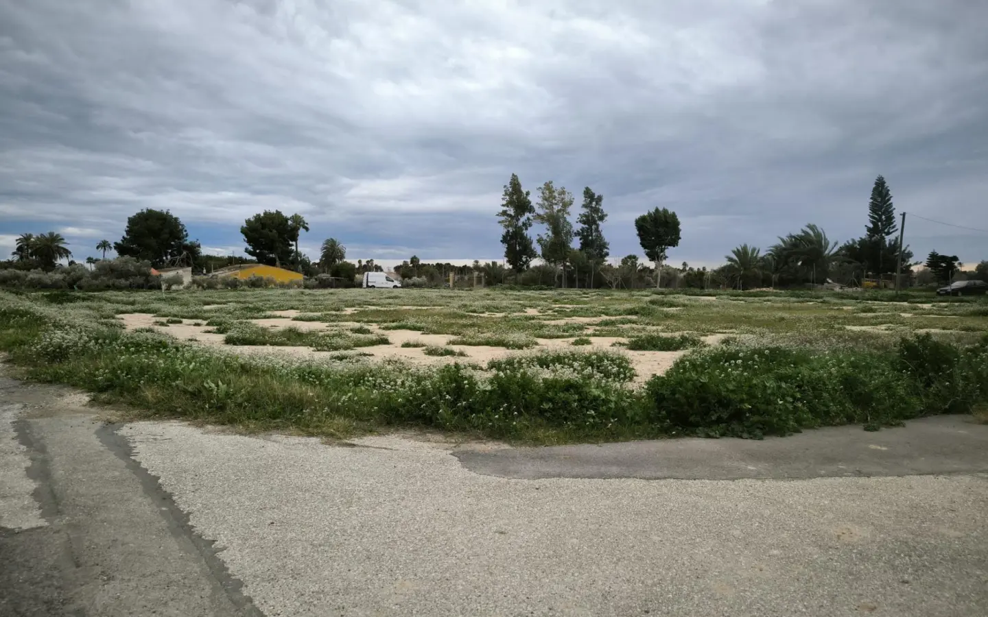 Country Land In Elche Pedanias, Spain (4.037 M² Plot)