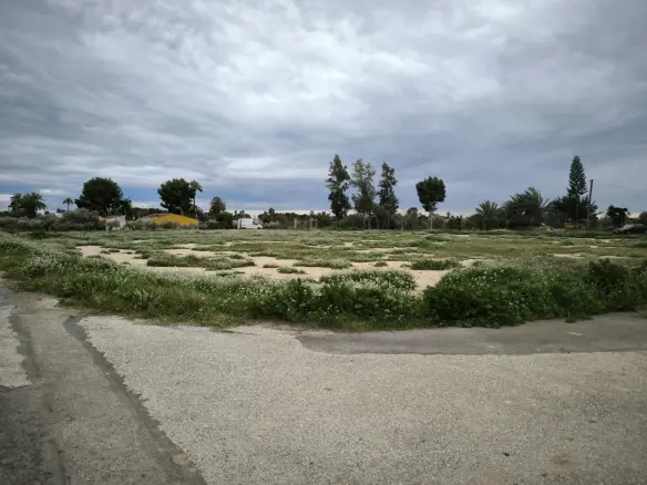 Country Land In Elche Pedanias, Spain (4.037 M² Plot)