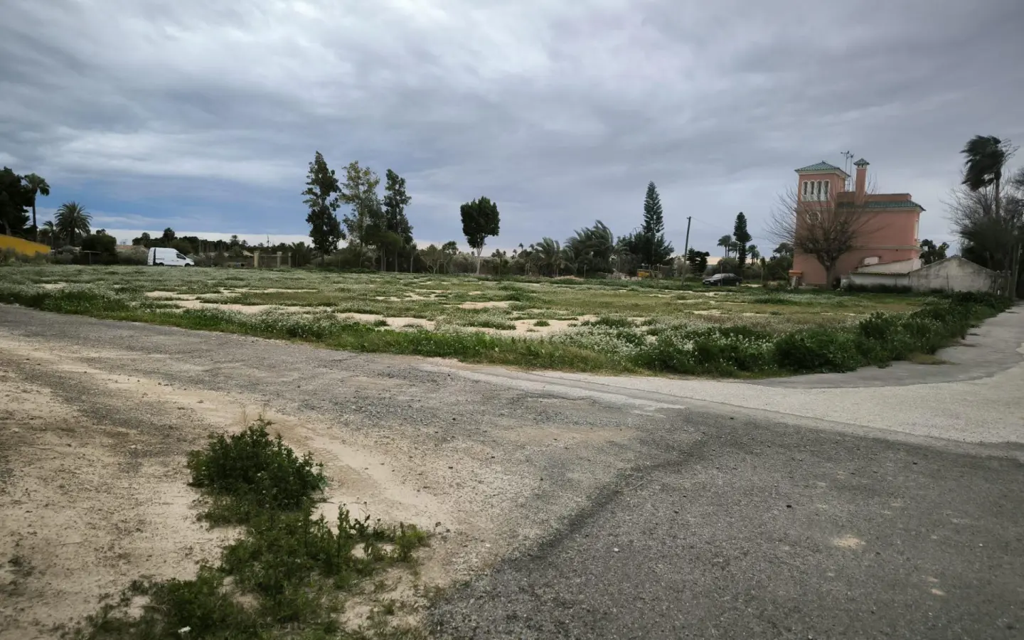 Country Land In Elche Pedanias, Spain (4.037 M² Plot)