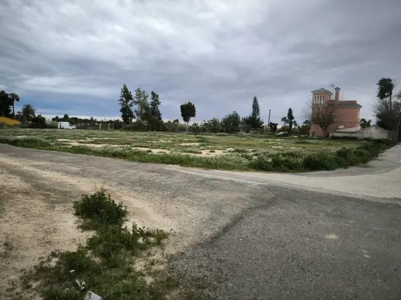 Country Land In Elche Pedanias, Spain (4.037 M² Plot)