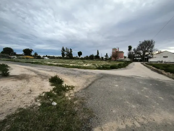 Country Land In Elche Pedanias, Spain (4.037 M² Plot)