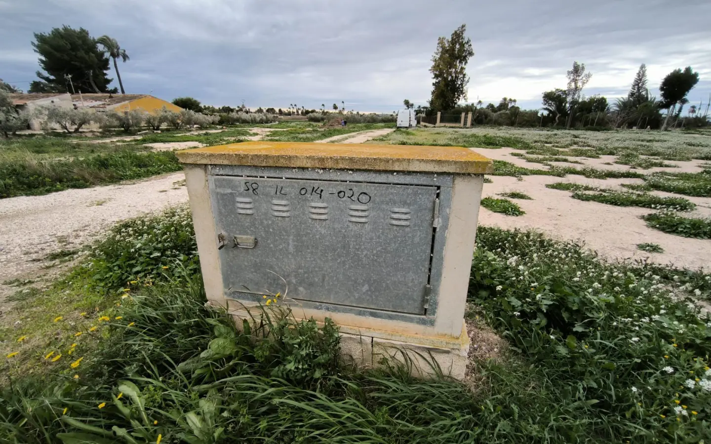 Country Land In Elche Pedanias, Spain (4.037 M² Plot)