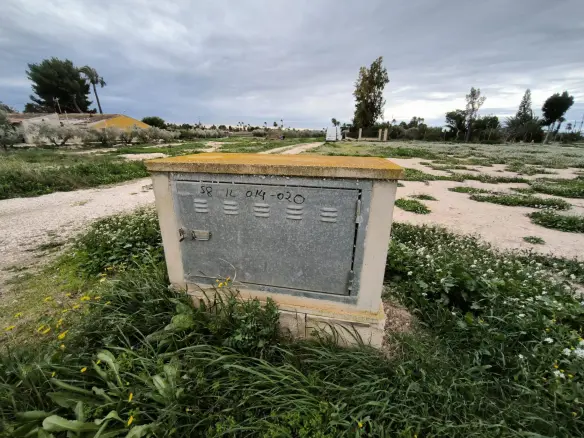 Country Land In Elche Pedanias, Spain (4.037 M² Plot)