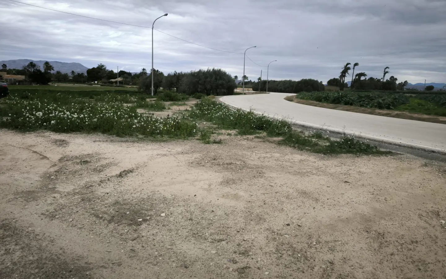 Country Land In Elche Pedanias, Spain (4.037 M² Plot)