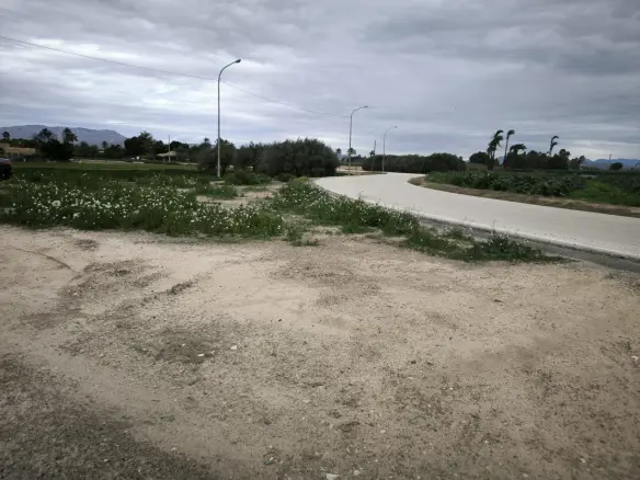 Country Land In Elche Pedanias, Spain (4.037 M² Plot)