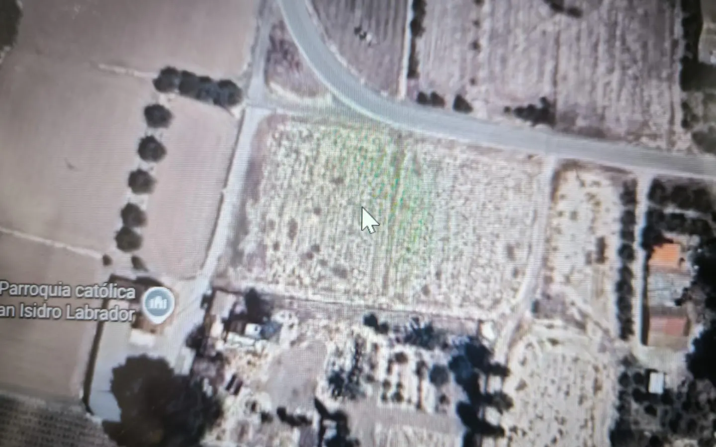 Country Land In Elche Pedanias, Spain (4.037 M² Plot)