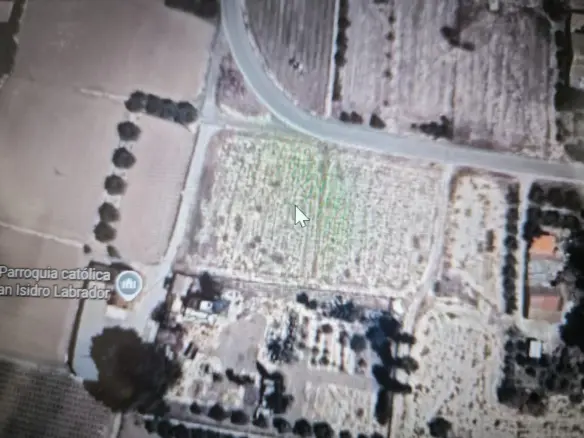 Country Land In Elche Pedanias, Spain (4.037 M² Plot)