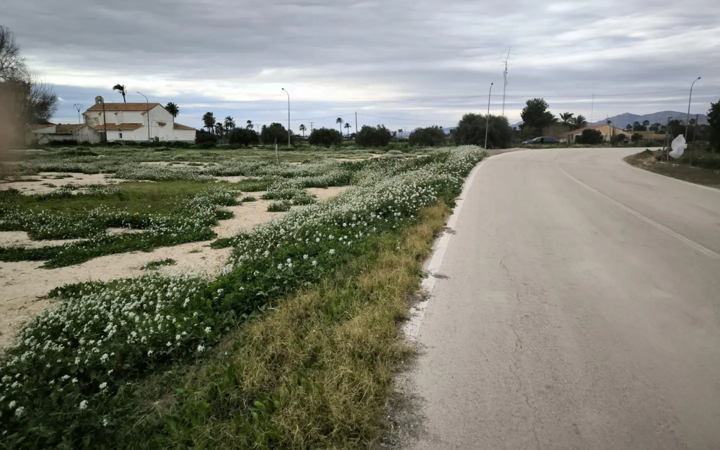 Country Land In Elche Pedanias, Spain (4.037 M² Plot)