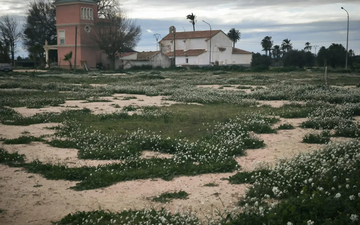Country Land In Elche Pedanias, Spain (4.037 M² Plot)