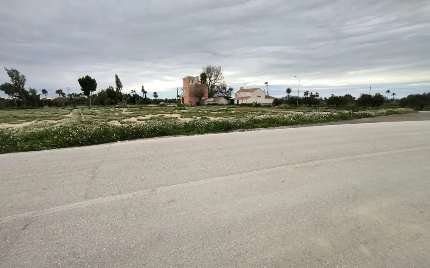 Country Land In Elche Pedanias, Spain (4.037 M² Plot)