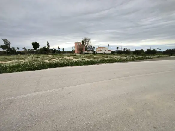 Country Land In Elche Pedanias, Spain (4.037 M² Plot)