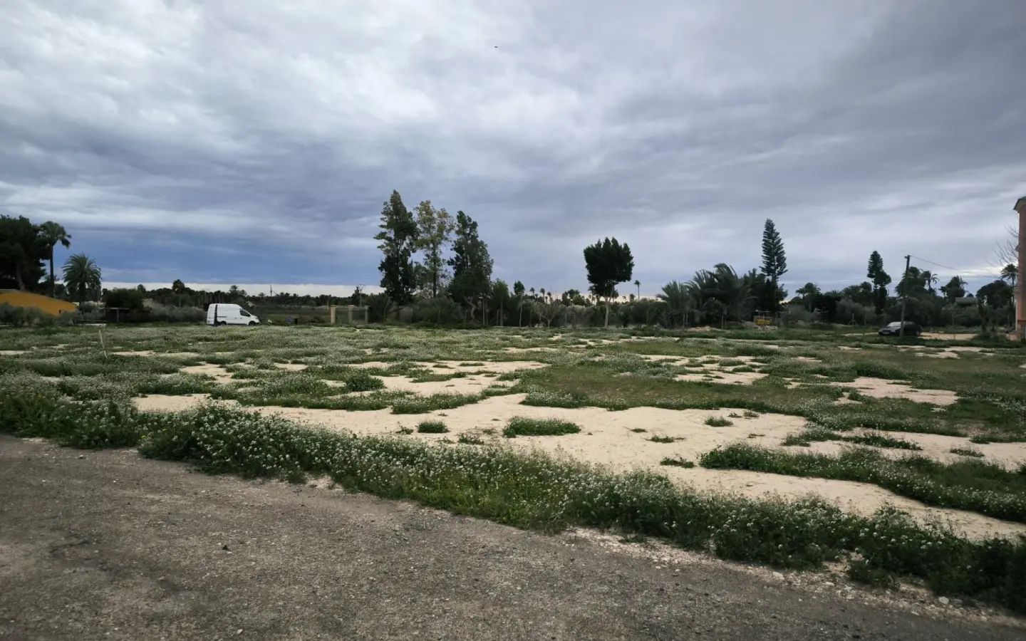 Country Land In Elche Pedanias, Spain (4.037 M² Plot)