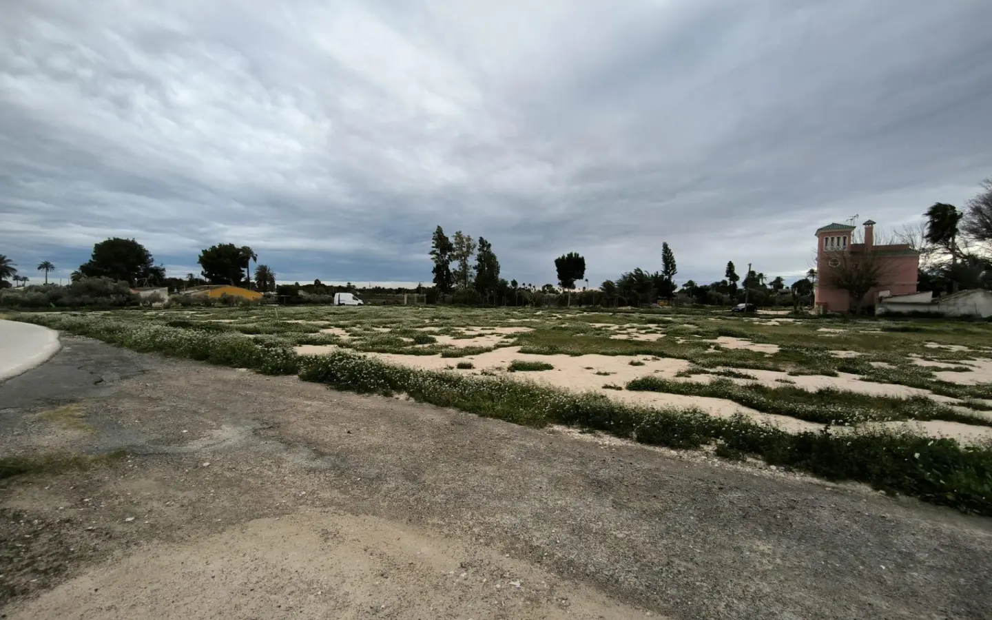Country Land In Elche Pedanias, Spain (4.037 M² Plot)